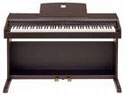 Casio-AP31
