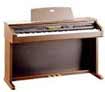 Casio-AP80R