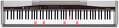 Casio-PX500L